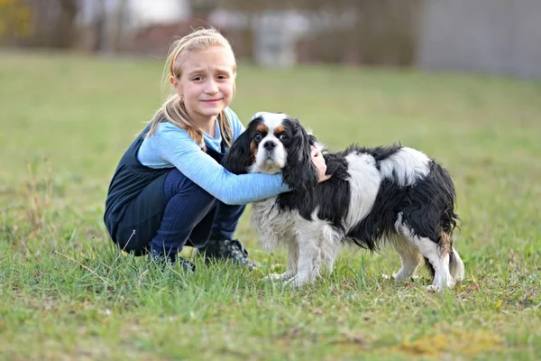 Klein Meisje Wandelen Met Hier Hond — Stockfoto