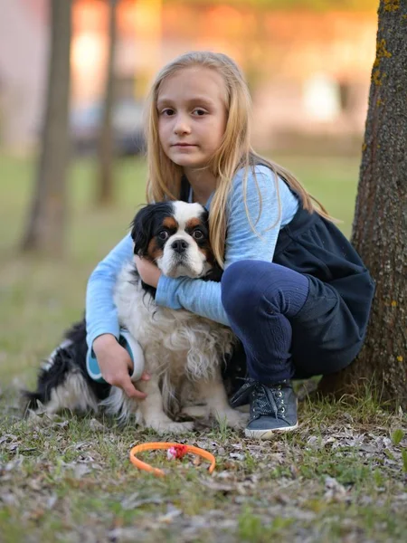 Kislány Gyalogos Itt Kutya — Stock Fotó