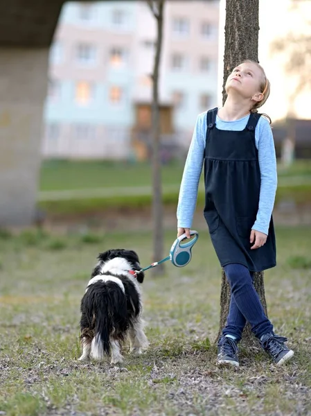 Μικρό Κορίτσι Περπάτημα Εδώ Σκυλί — Φωτογραφία Αρχείου