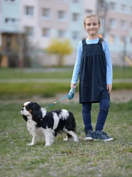 Malá Holčička Která Chodí Sem Psem — Stock fotografie