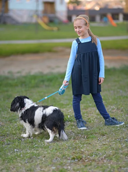 Menina Caminhando Com Aqui Cão — Fotografia de Stock