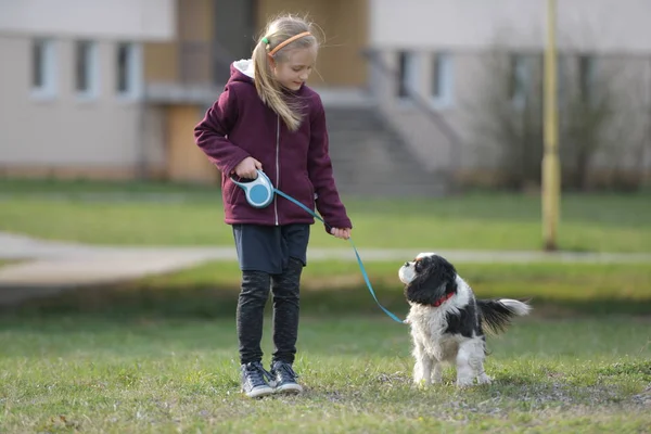 Petite Fille Marche Avec Ici Chien — Photo