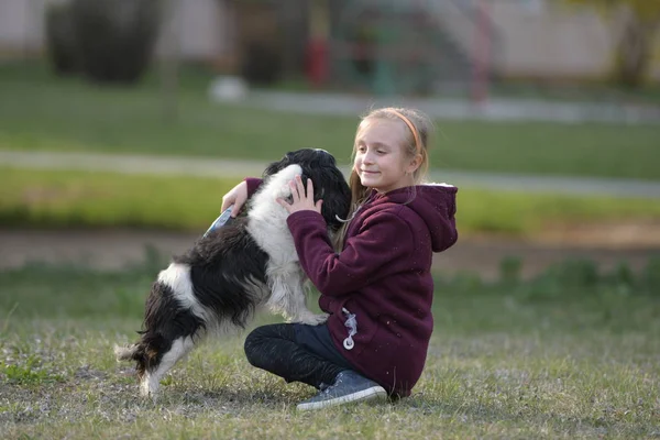 Little Girl Walking Here Dog — Stock Photo, Image