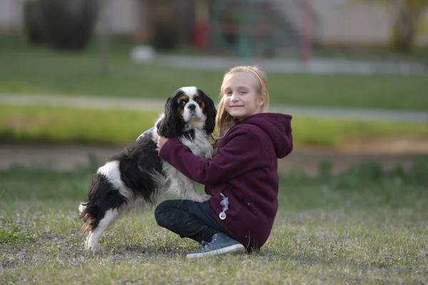 Petite Fille Marche Avec Ici Chien — Photo