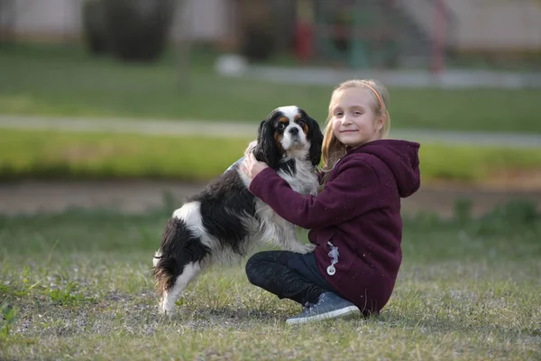 Petite Fille Marche Avec Ici Chien — Photo