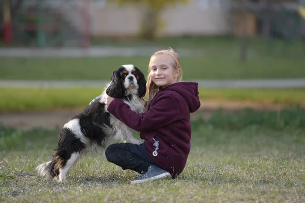 Kleines Mädchen Geht Mit Hund Spazieren — Stockfoto