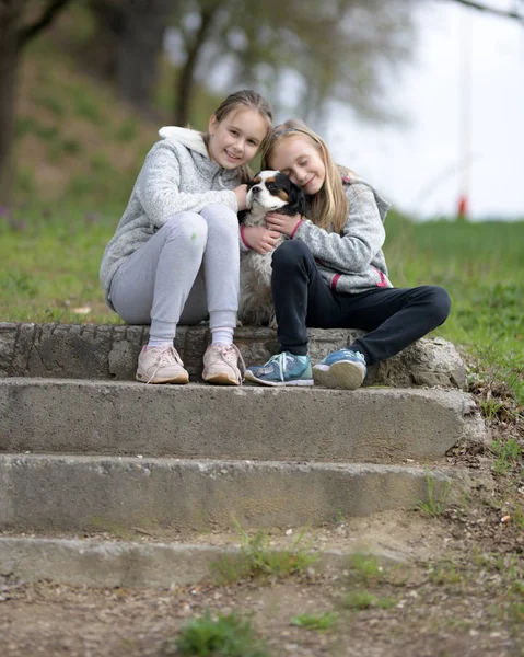 彼女の犬と幸せな子供の女の子 — ストック写真