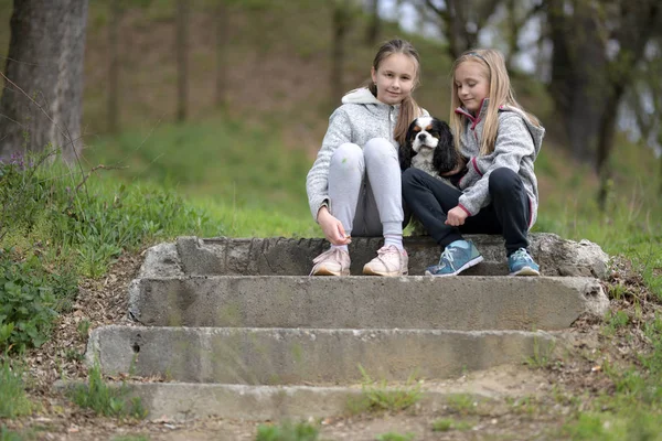 Heureux Enfant Fille Avec Son Chien — Photo