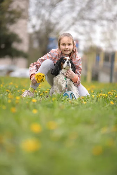 Menina Criança Feliz Com Seu Cão — Fotografia de Stock