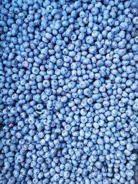 Blue Fresh Blueberries Close — Stock Photo, Image