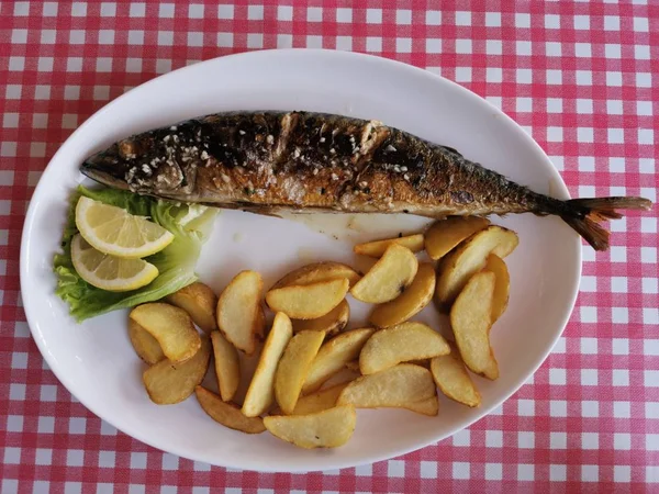 Grilled Mackerel Fish Vegetables White Plane — Stock Photo, Image