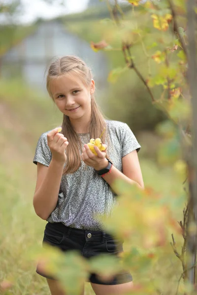 Young Girl Green Grapes Farm — Stockfoto