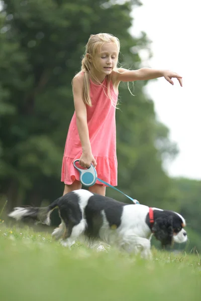 Mädchen Mit Hund Cavalier King Charles Spaniel — Stockfoto