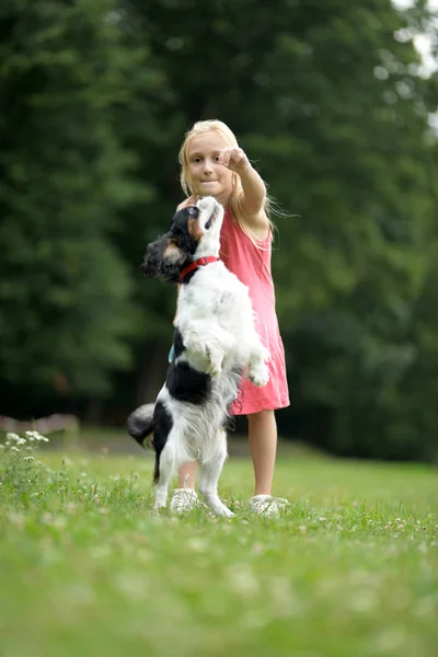 Menina Com Cão Cavaleiro Rei Charles Spaniel — Fotografia de Stock