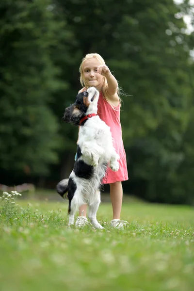 Meisje Met Hond Cavalier Koning Charles Spaniel — Stockfoto