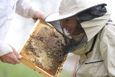Arı yetiştiricisi bal topluyor. Arıcılık konsepti.