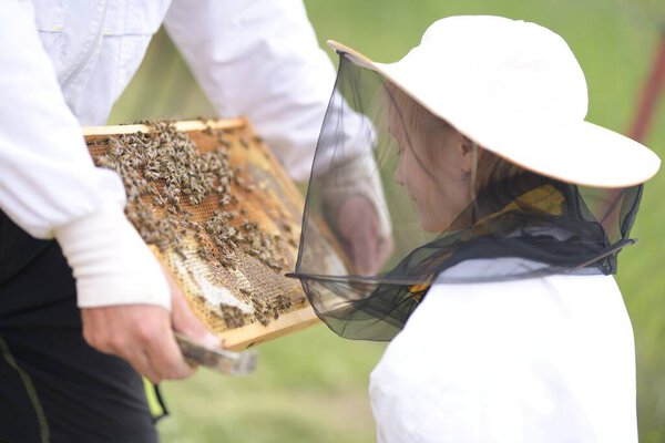 little girl beekeeper works on an apiary at hive