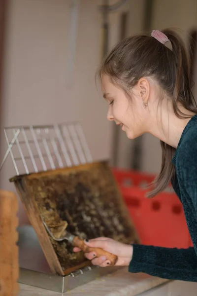 Včelařka Pracuje Včelíně Úlu — Stock fotografie