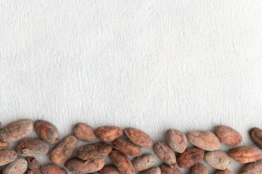 Kakao Fasulyeleri arka planda izole edildi