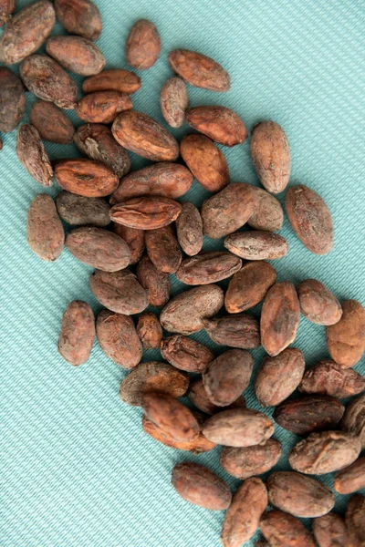 Haricots Cacao Isolés Sur Fond — Photo