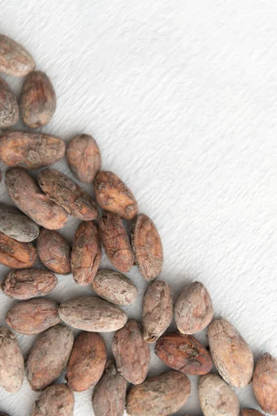 Haricots Cacao Isolés Sur Fond — Photo