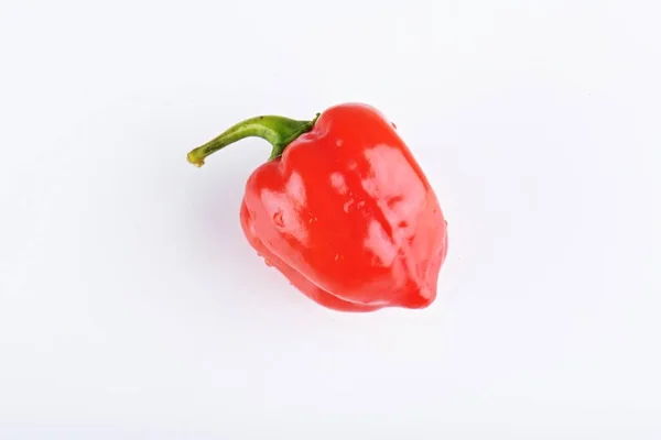 Rosso Habanero Pepe Isolato Sfondo Bianco — Foto Stock