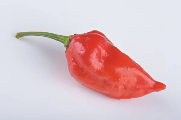 Rosso Habanero Pepe Isolato Sfondo Bianco — Foto Stock