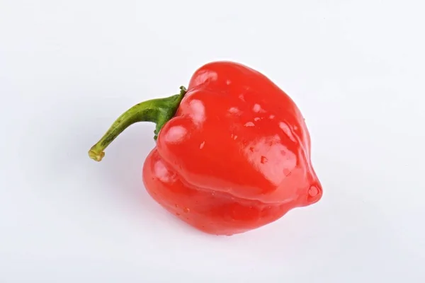 白色背景下分离的红哈巴内罗胡椒 — 图库照片