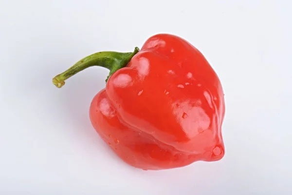 Pimenta Habanero Vermelha Isolada Sobre Fundo Branco — Fotografia de Stock