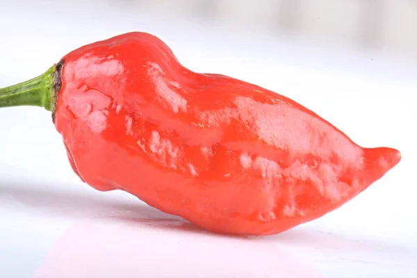 Röd Habanero Peppar Isolerad Vit Bakgrund — Stockfoto