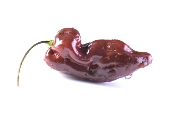 鲜红的哈巴内罗胡椒 — 图库照片