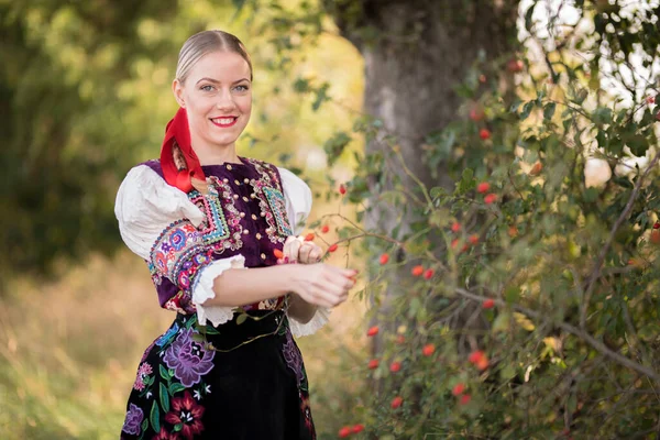 Молода Красива Словачка Традиційному Костюмі Словацький Фольклор — стокове фото