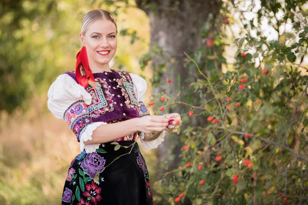 Jovem Mulher Eslovaca Bonita Traje Tradicional Folclore Eslovaco — Fotografia de Stock