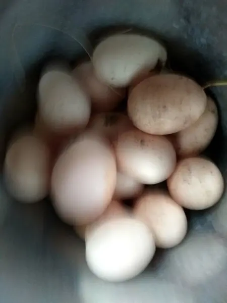 Feliz Páscoa Conjunto Ovos Páscoa Com Textura Diferente Férias Primavera — Fotografia de Stock