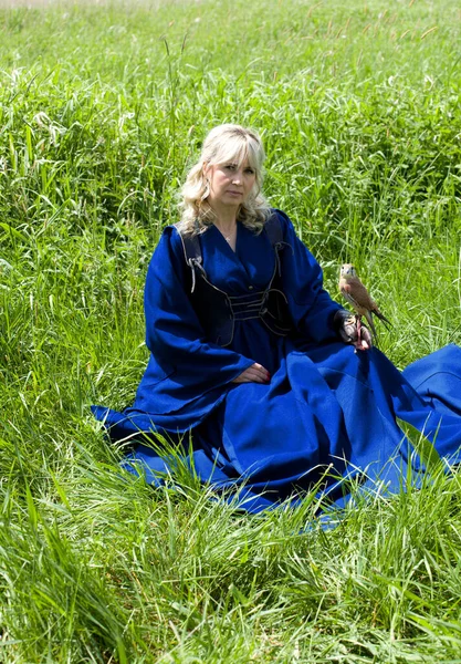 Mooi Meisje Een Lange Blauwe Middeleeuwse Jurk Met Een Jagen — Stockfoto