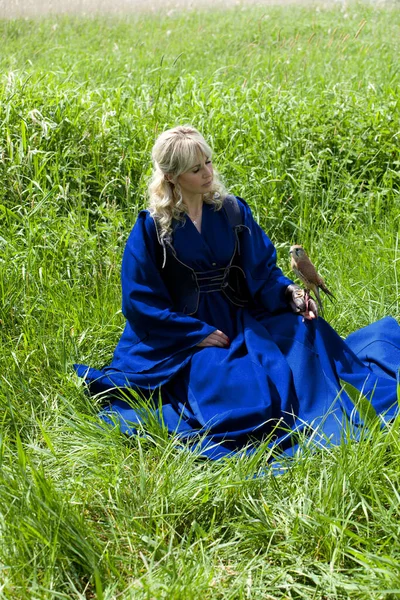 Mooi Meisje Een Lange Blauwe Middeleeuwse Jurk Met Een Jagen — Stockfoto
