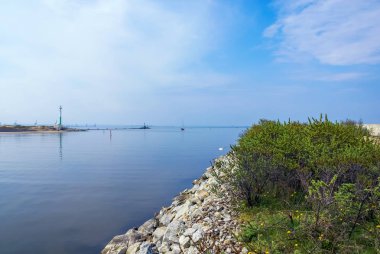 Cennet kuşları görünümünü (Lehçe: Ptasi Raj) tabiatı Gdansk Sobieszewo Island.