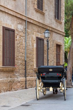 Balearic Islands, İspanya, Palma de Mallorca'da cathedral yakınındaki Majorca içinde taşıma