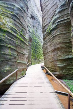 Adrspach Ulusal Parkı - Teplice harika. Rock Kasabası. Çek Cumhuriyeti