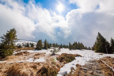 Karkonosze (Krkonose Hills'te iz)