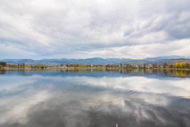 Manzara Polonya. Nehir, ağaçlar - güzel kırsal