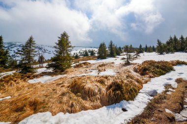 Karkonosze - kar ve güneş. Güzel manzara
