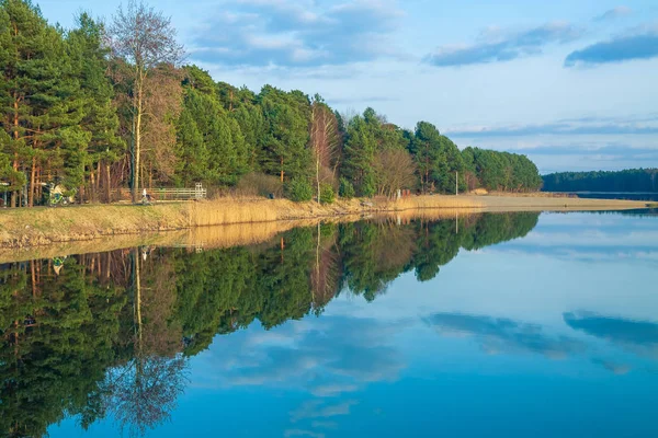 Пейзаж Польше Река Деревья Красивая Местность — стоковое фото