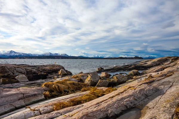 Schilderachtige Fjord Kustlijn Het Zuiden Van Noorwegen Europa — Stockfoto