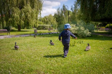 Çocuk parkta ördekler kovalıyor