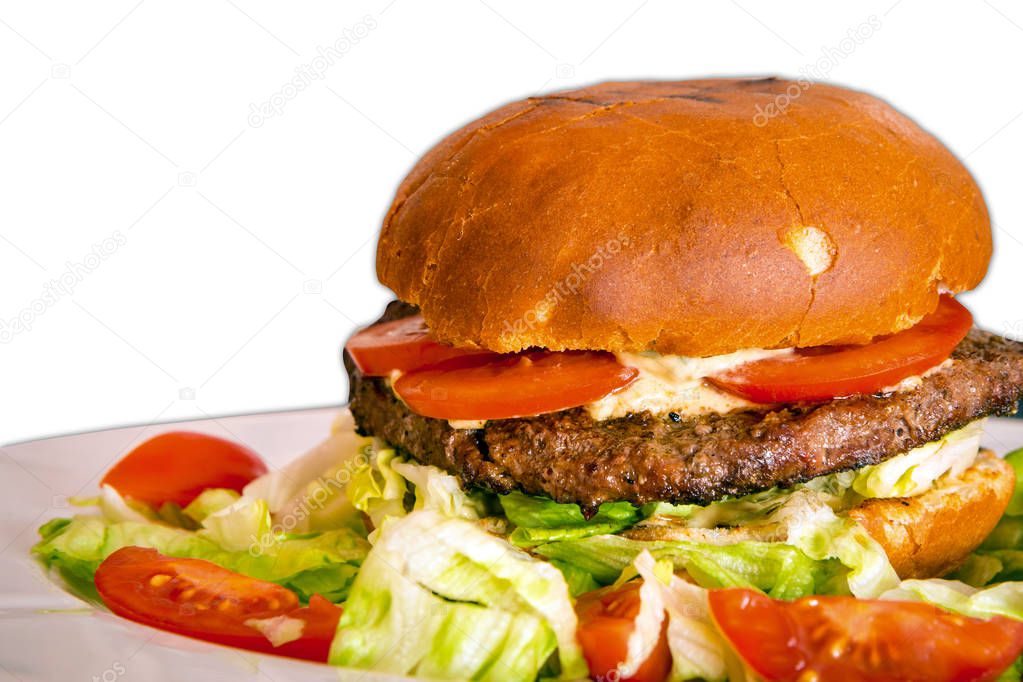 Tasty hamburger with vegetables on the table