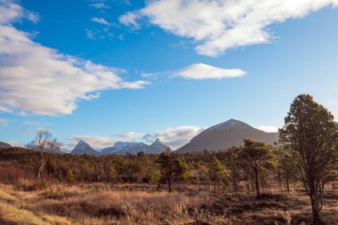 Norveç manzarası. Arka planda dağlar ve ormanlar