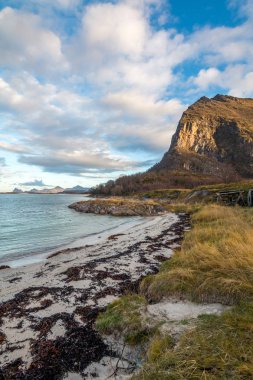 Trondelag'daki Norveç sahili. Norveç