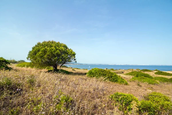 Lovely Coast Algarve Portugal — Stock Photo, Image