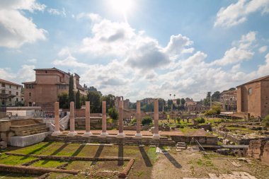 Roma 'daki Forum Romanum